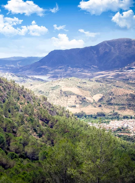 Vesnice Bílých Domů Zvaná Algodonales Jihu Španělska Obklopen Horami Lesem — Stock fotografie