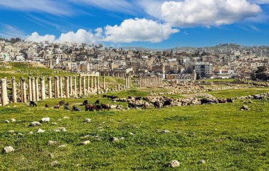 Güneşli bir günde Jerash Ürdün'de Roma arkeoloji kalır.