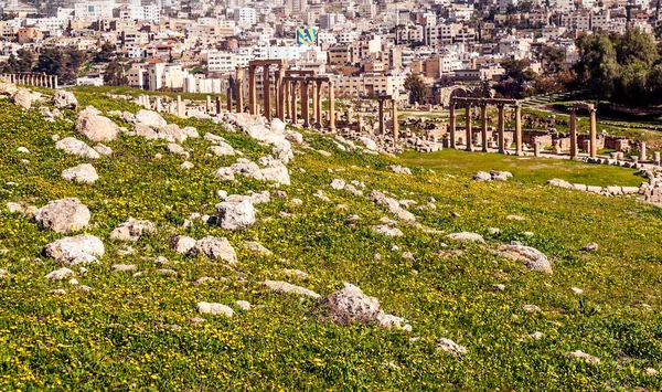 Resti Archeologici Romani Jerash Giordania Una Giornata Sole — Foto Stock