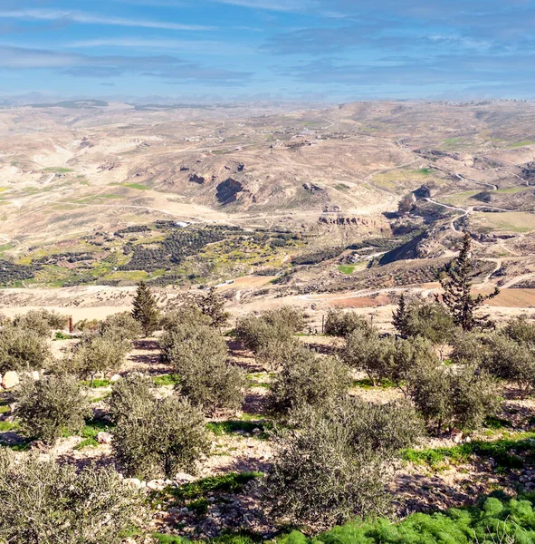 Mount Nebo Jordan Sunny Day Mount Nebo Peak 817 Meters — Stock Photo, Image