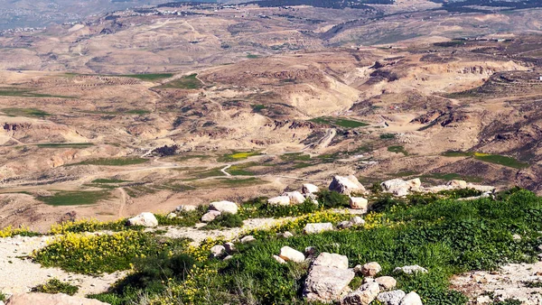 Monte Nebo Jordania Día Soleado Monte Nebo Pico 817 Metros — Foto de Stock