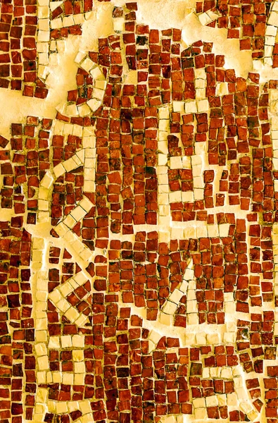 约旦内博山上的陶瓷质感 — 图库照片