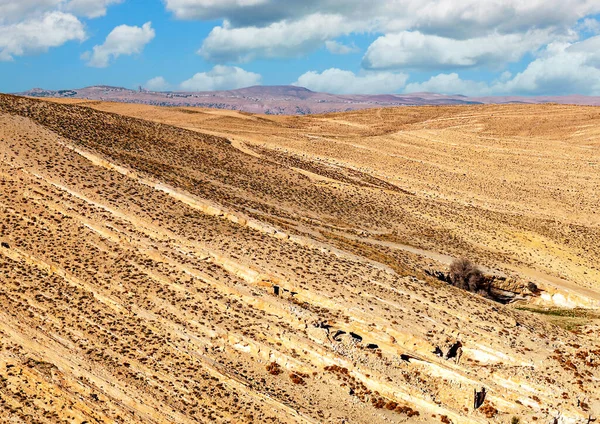 晴れた日にヨルダンのショバクの砂漠 — ストック写真