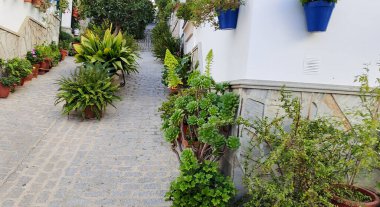 Güneşli bir günde Cadiz 'in El Gastor ilçesinde beyaz köyün sokaklarında çiçekler