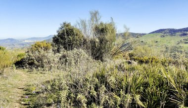 Güneşli bir günde İspanya 'nın güneyindeki Cadiz ilindeki dağlarda