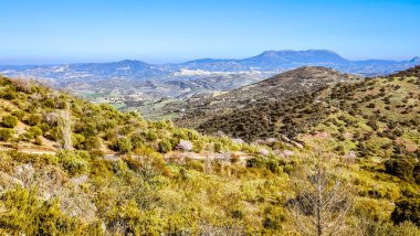 Güneşli bir günde İspanya 'nın güneyindeki Cadiz ilindeki dağlarda
