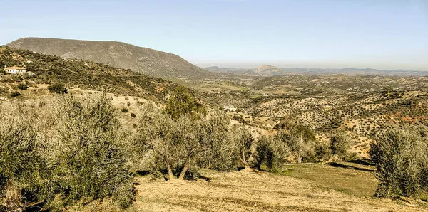 Montagnes Dans Province Cadix Dans Sud Espagne Par Une Journée — Photo