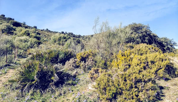 Montäner Provinsen Cadiz Södra Spanien Solig Dag — Stockfoto