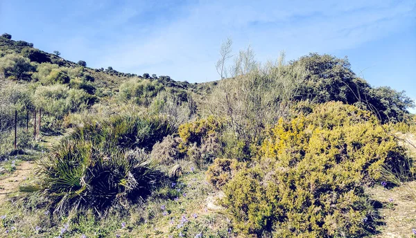 Mountains Provincii Cádiz Jihu Španělska Slunečného Dne — Stock fotografie