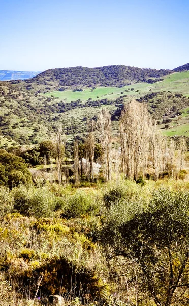 Güneşli Bir Günde Spanya Nın Güneyindeki Cadiz Ilindeki Dağlarda — Stok fotoğraf