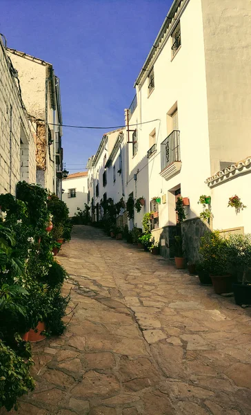 阳光明媚的一天 卡迪兹省El Gastor白村街道上的花朵 — 图库照片