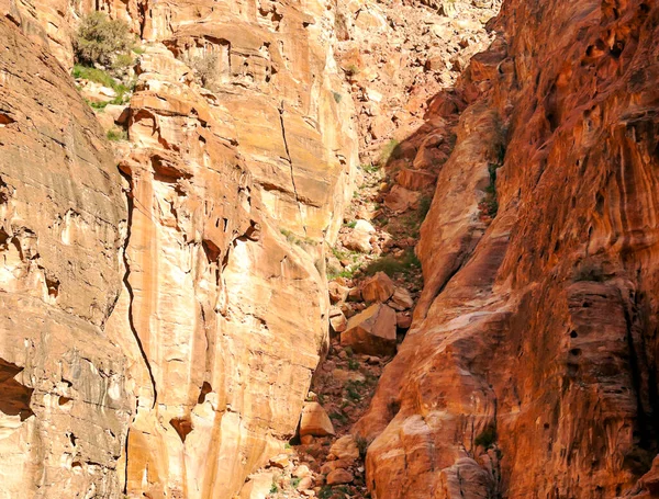 Ruïnes Van Oude Stad Petra Jordanië Een Zonnige Dag Petra — Stockfoto