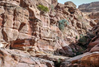 Ürdün 'ün eski Petra kentinin kalıntıları güneşli bir günde. Petra taştan yapılmış önemli bir arkeolojik bölge..