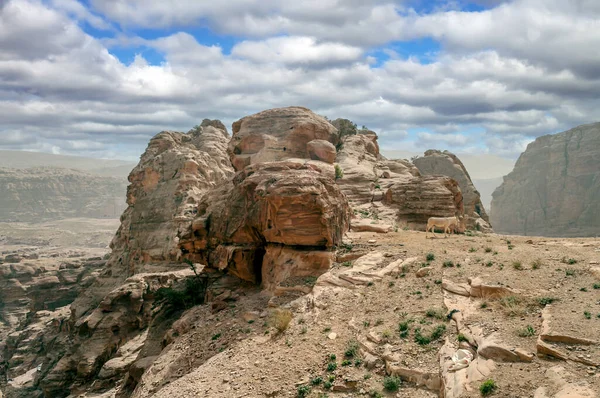Ruinas Antigua Ciudad Petra Jordania Día Soleado Petra Importante Yacimiento — Foto de Stock