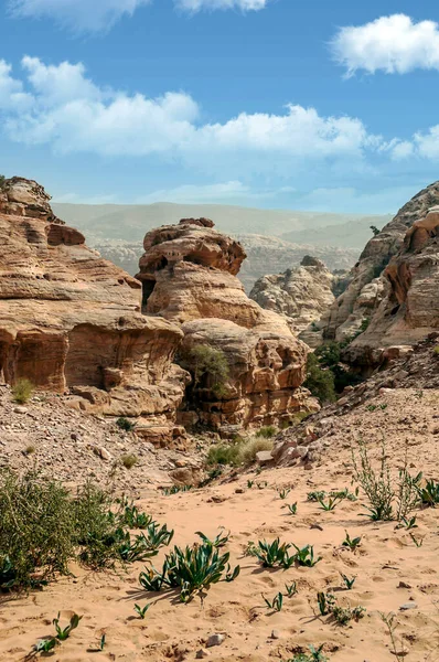 Ruiny Starożytnego Miasta Petra Jordanii Słoneczny Dzień Petra Jest Ważnym — Zdjęcie stockowe