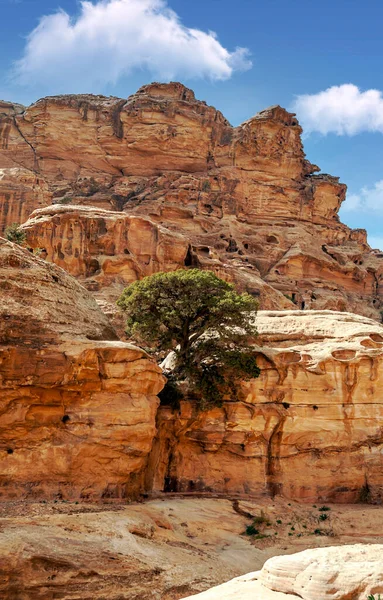 Ürdün Eski Petra Kentinin Kalıntıları Güneşli Bir Günde Petra Taştan — Stok fotoğraf