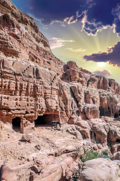 Zřícenina Starobylého Města Petra Jordánsku Slunečného Dne Petra Významným Archeologickým — Stock fotografie