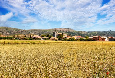 İspanya 'nın Soria eyaletinde bulutlu bir günde tarlalar yetişti.