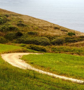 Güneşli bir günde Soria İspanyol ilinde yetiştirilen alanlar