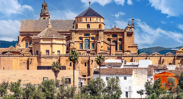 Güney Spanya Bulutlu Bir Günde Cami Cordoba Katedrali — Stok fotoğraf