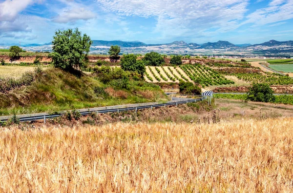 Campi Coltivati Nella Provincia Spagnola Soria Una Giornata Nuvolosa — Foto Stock