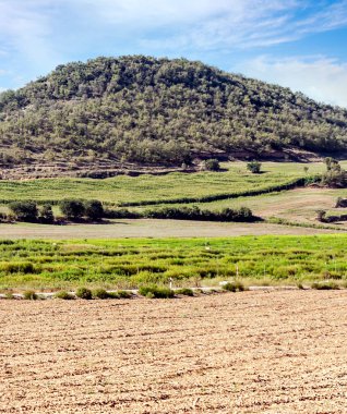 Güneşli bir günde arka planda dağlar ile İspanya kuzeyde ekili alanlar.