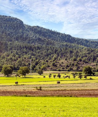 İspanya 'nın kuzeyinde ekilmiş tarlalar ve bulutlu bir günde arka planda dağlar..