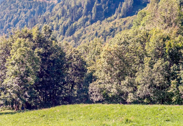 Alpen Bergen Frankrijk Een Bewolkte Dag — Stockfoto