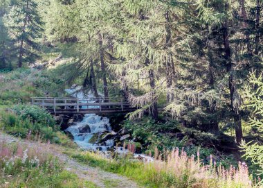 Güneşli bir günde Saint Luc Vadisi'nde İsviçre Alpleri dağlarında.
