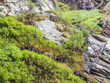 Güneşli bir günde Saint Luc Vadisi'nde İsviçre Alpleri dağlarında Nehri.