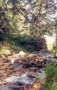 Güneşli bir günde Saint Luc Vadisi'nde İsviçre Alpleri dağlarında Nehri.