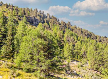 Güneşli bir günde Saint Luc Vadisi'nde İsviçre Alpleri dağlarında.
