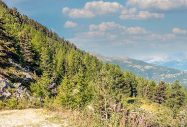 Güneşli bir günde Saint Luc Vadisi'nde İsviçre Alpleri dağlarında.
