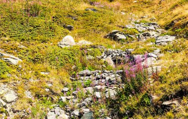 Güneşli bir günde Saint Luc Vadisi'nde İsviçre Alpleri dağlarında.