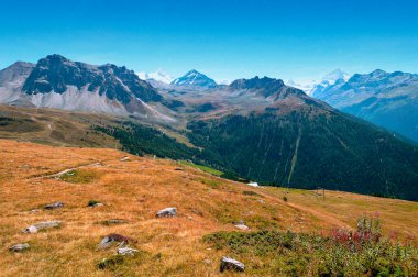 Güneşli bir günde Saint Luc Vadisi'nde İsviçre Alpleri dağlarında.