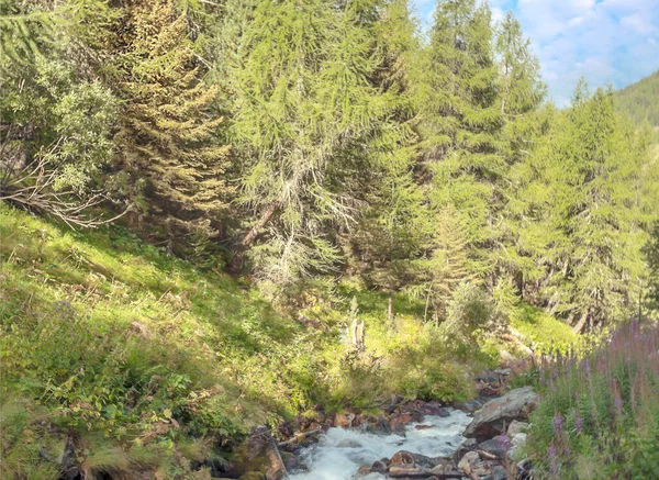 Річка Горах Швейцарських Альпах Долині Сен Люк Сонячний День — стокове фото