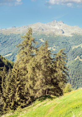 Güneşli bir günde Saint Luc Vadisi'nde İsviçre Alpleri dağlarında.