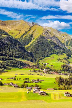 Ahşap kulübe ve güneşli bir çayır ile İsviçre Alpleri dağlarında.