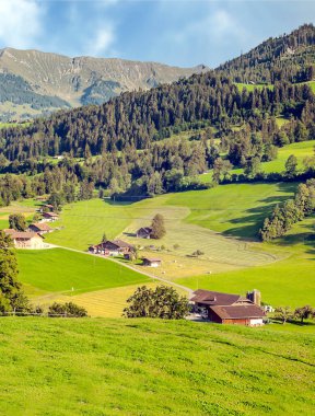 Ahşap kulübe ve güneşli bir çayır ile İsviçre Alpleri dağlarında.
