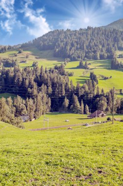 Ahşap kulübe ve güneşli bir çayır ile İsviçre Alpleri dağlarında.