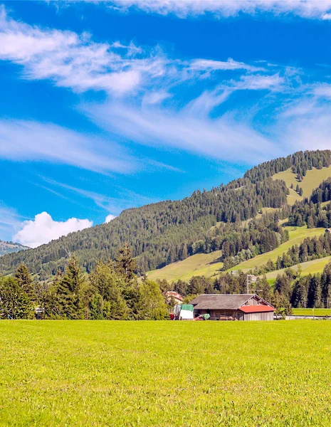 Bulutlu bir günde ahşap kulübeleri ve çayırları olan İsviçre Alpleri Dağları.