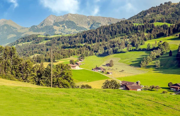 Švýcarských Alp Dřevěnými Chatami Louky Slunečného Dne — Stock fotografie