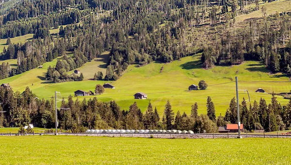 曇りの日に木造の小屋や牧草地を持つスイスアルプスの山々 ロイヤリティフリーのストック写真