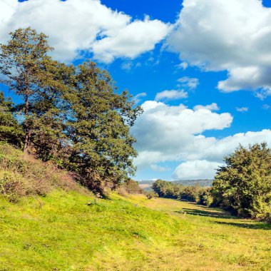 Suuny bir günde vadide Fransız tarımı