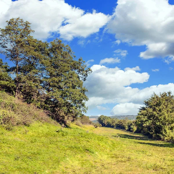 Suuny bir günde vadide Fransız tarımı