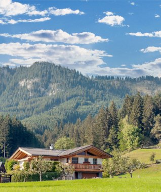 Bulutlu bir günde, Avusturya Alplerinde tahta evleri olan Gosau köyü..