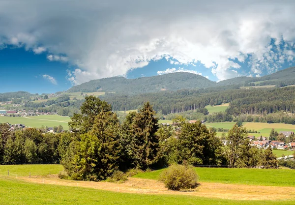 Árvores Vale Dos Alpes Europeus Dia Ensolarado — Fotografia de Stock