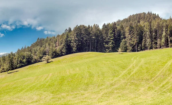 Bomen Vallei Van Europese Alpen Een Zonnige Dag — Stockfoto