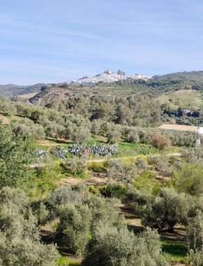 Olvera, Cadiz ilinde bir şehirdir. İlkbaharda dağın tepesinde bir kasabadır.