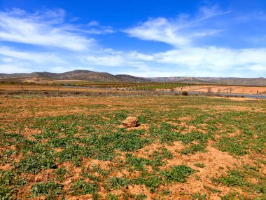 İlkbaharda Granada 'daki çayırlar